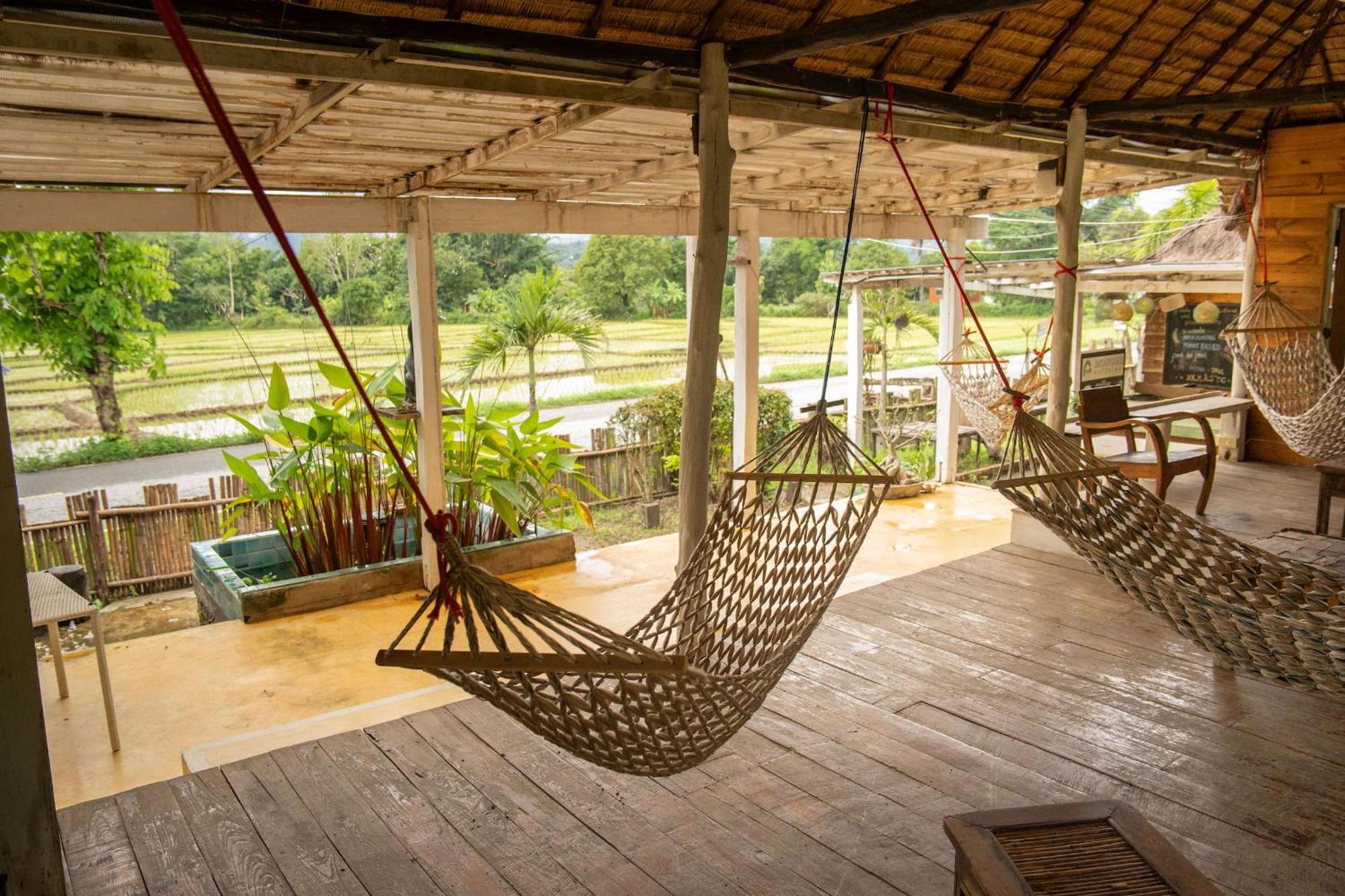Butterfly Hostel, *