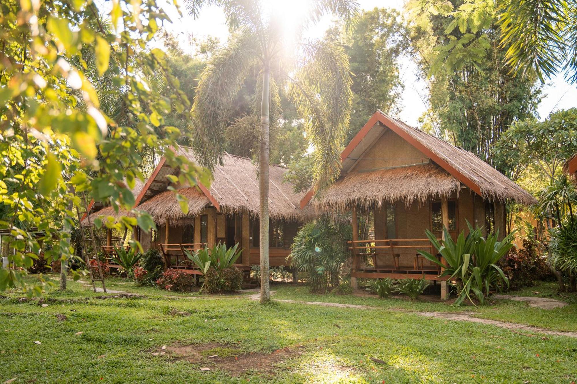 Hostel Butterfly Hostel,