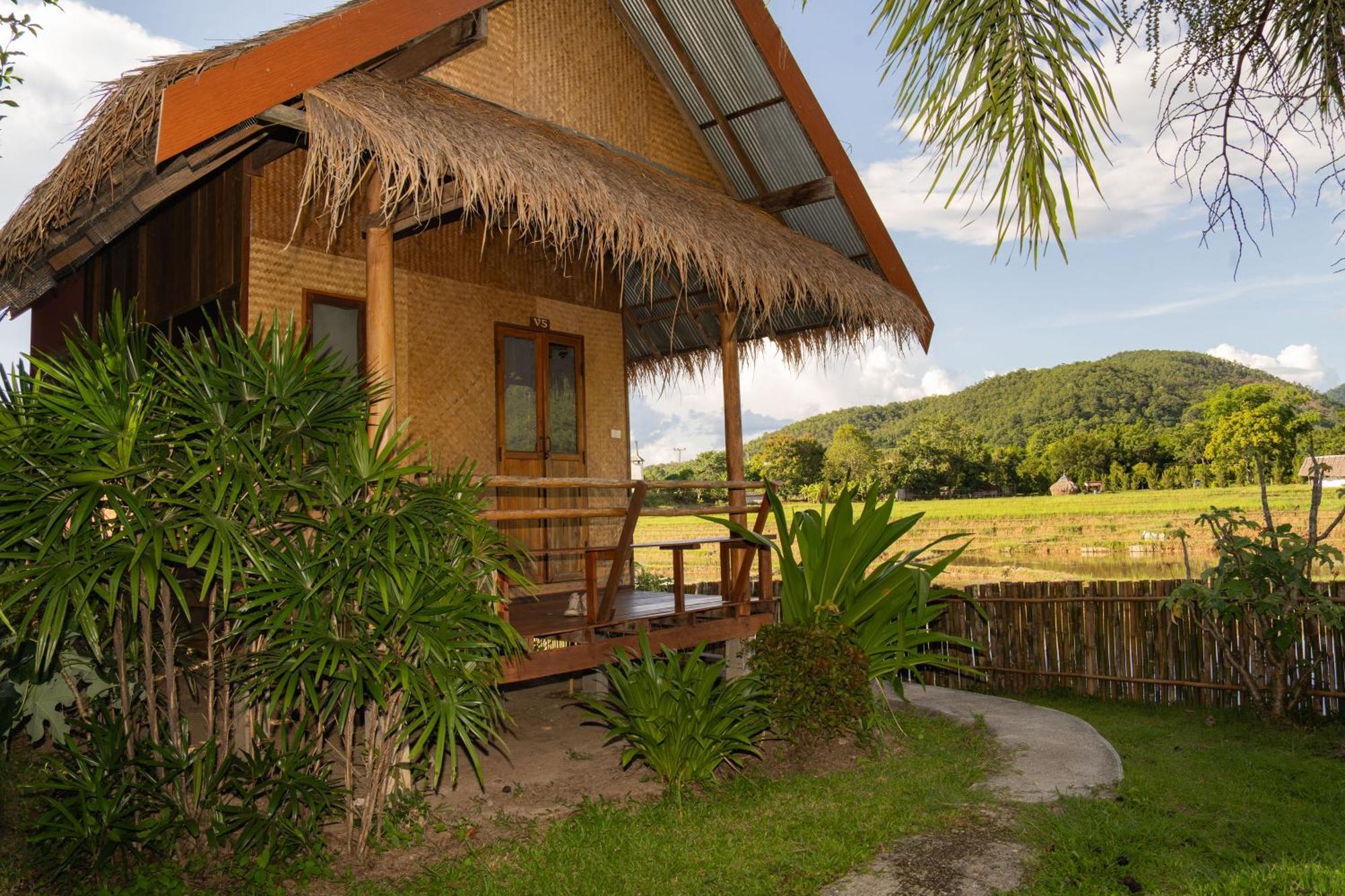 Hostal Butterfly Hostel, *