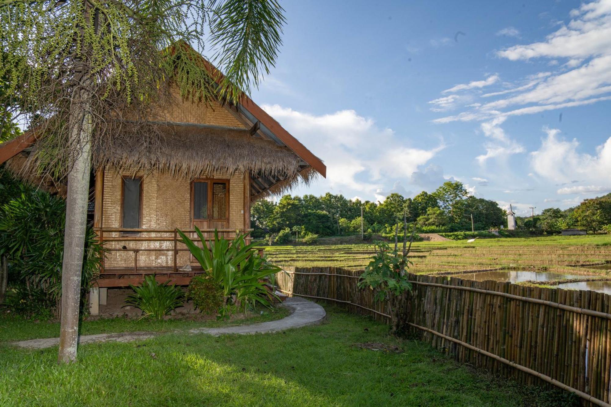Butterfly Hostel,