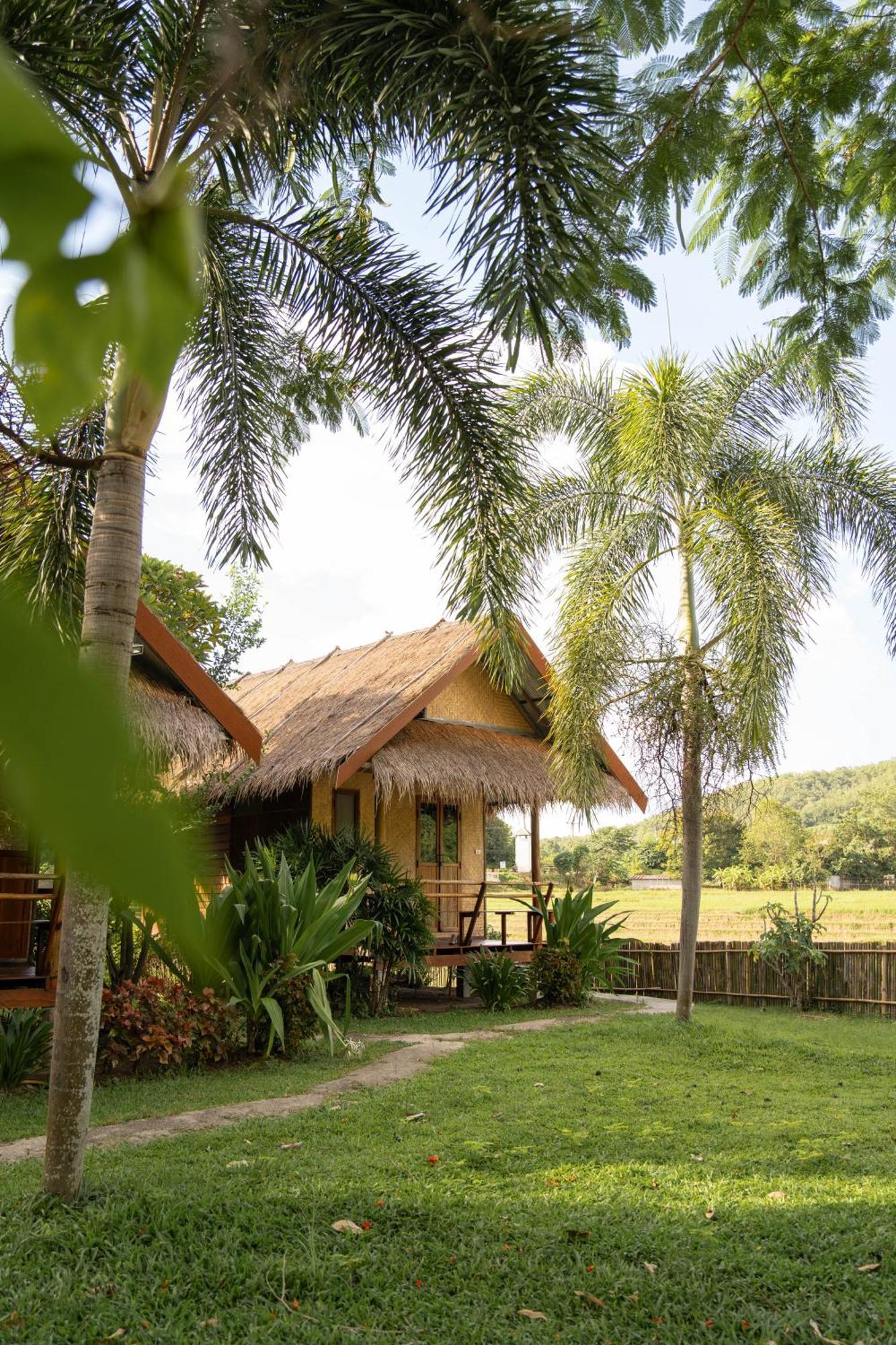 Hostel Butterfly Hostel, Pai