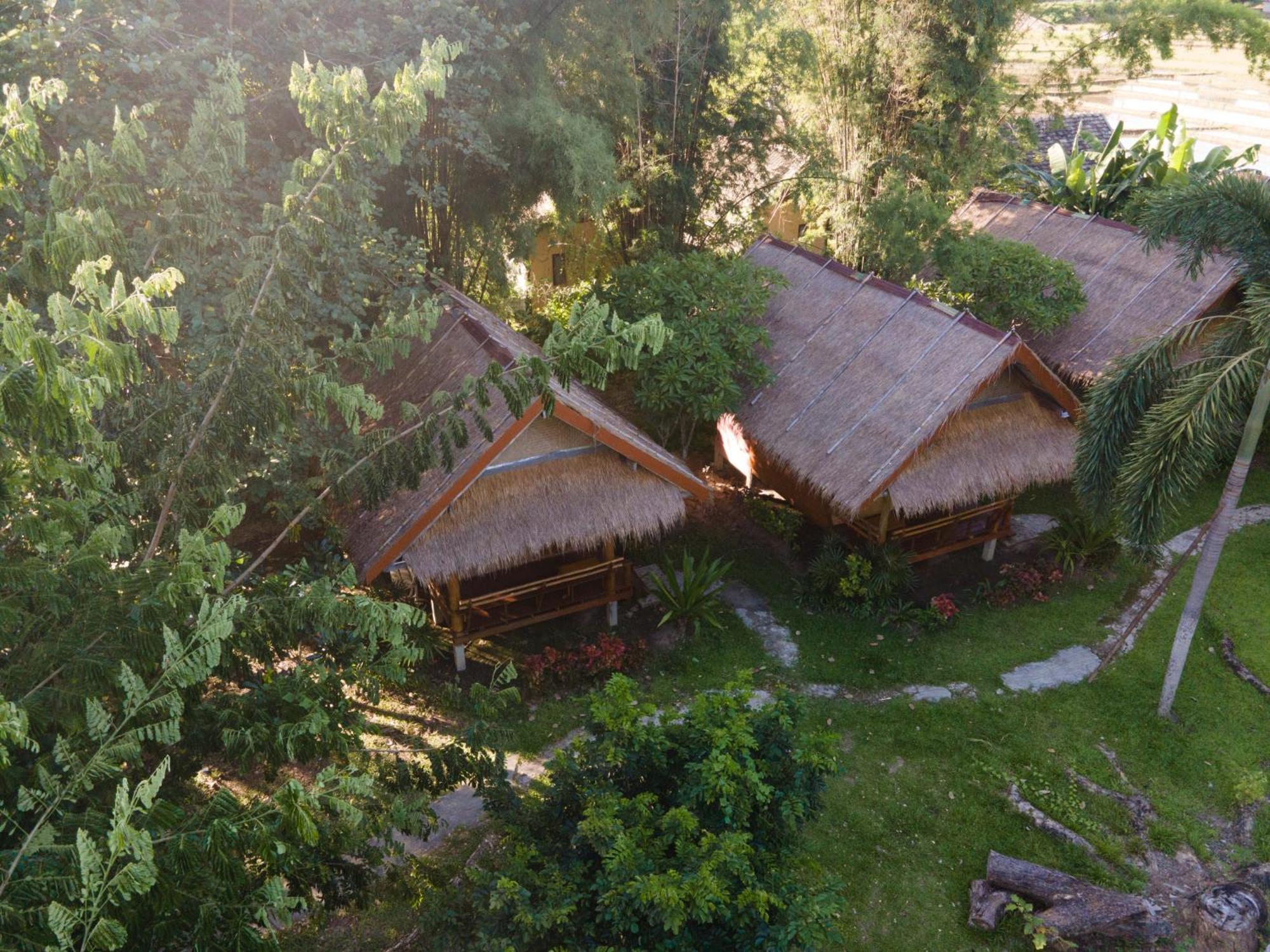 Butterfly Hostel, Hostal *