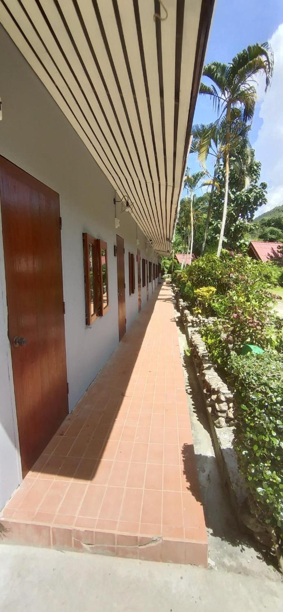 Butterfly Hostel, Hostal *