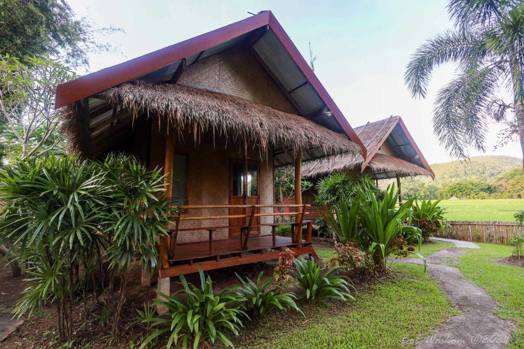 Butterfly Hostel, Hostal Pai
