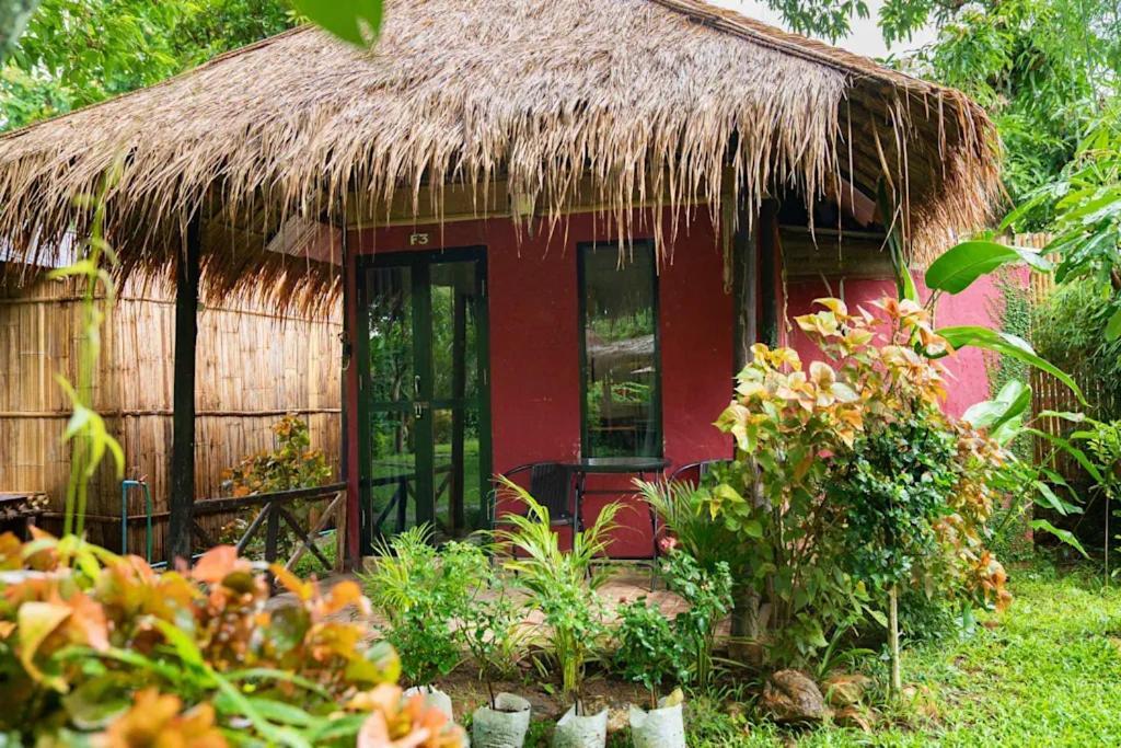 Butterfly Hostel, Hostal